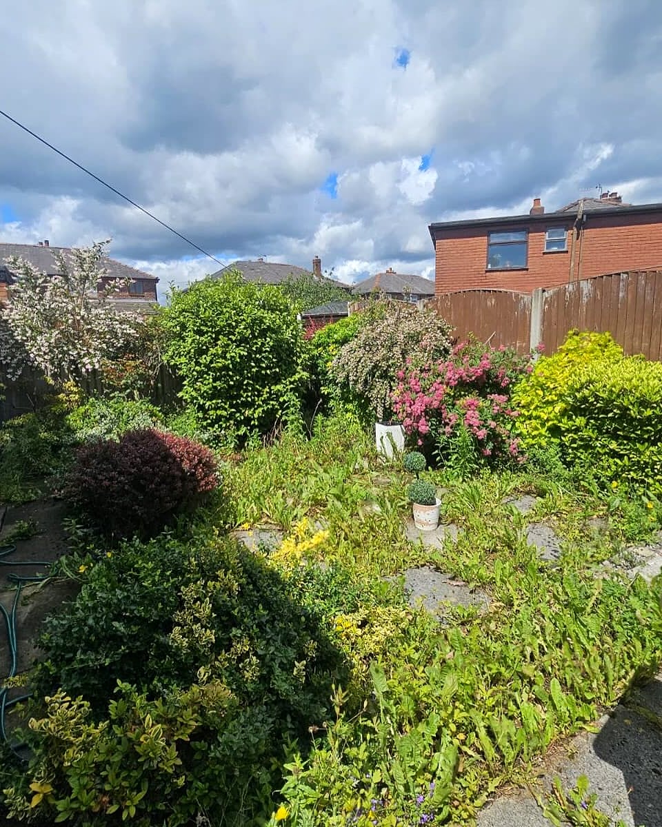 Back garden before: patio buried under weeds and overgrown shrubs